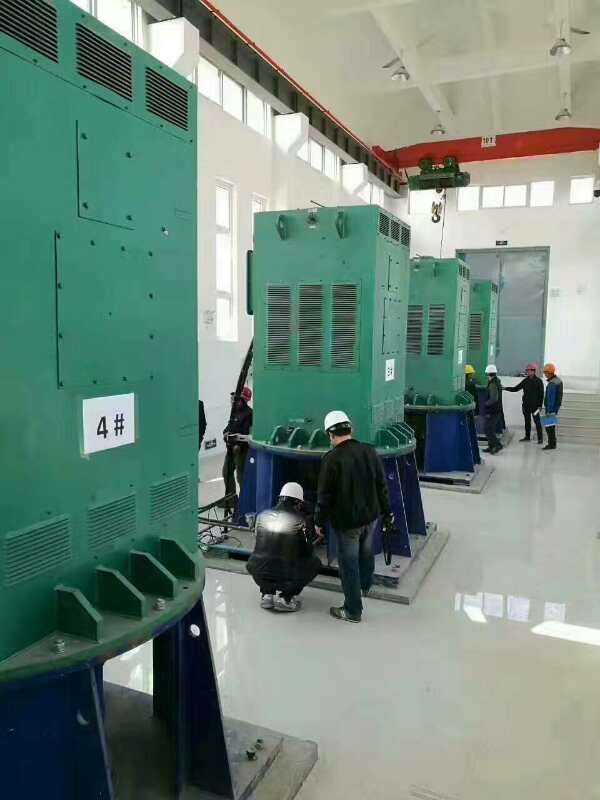 YKK800-8某污水处理厂使用我厂的立式高压电机安装现场